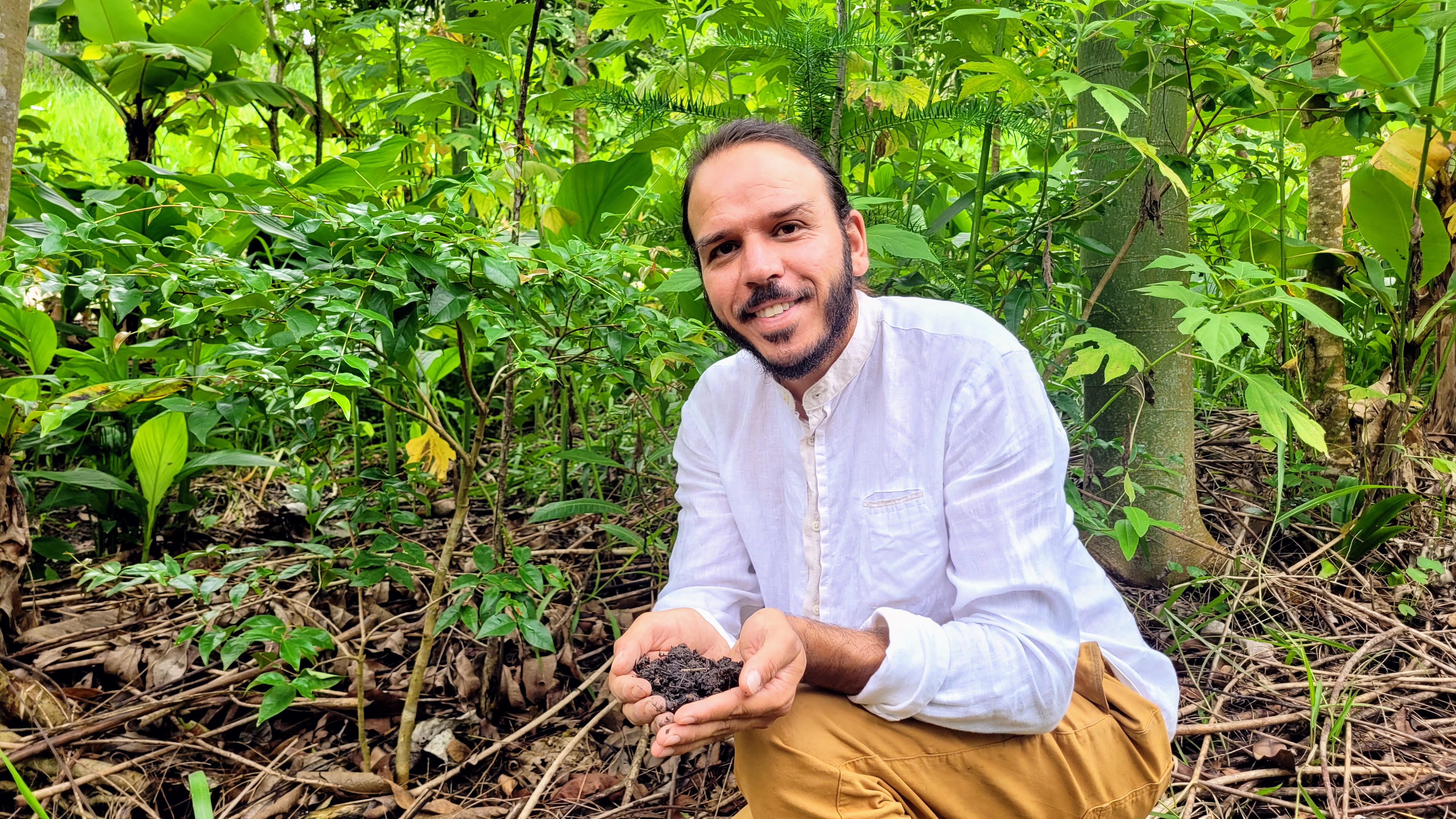 Agrofloresta sintrópica