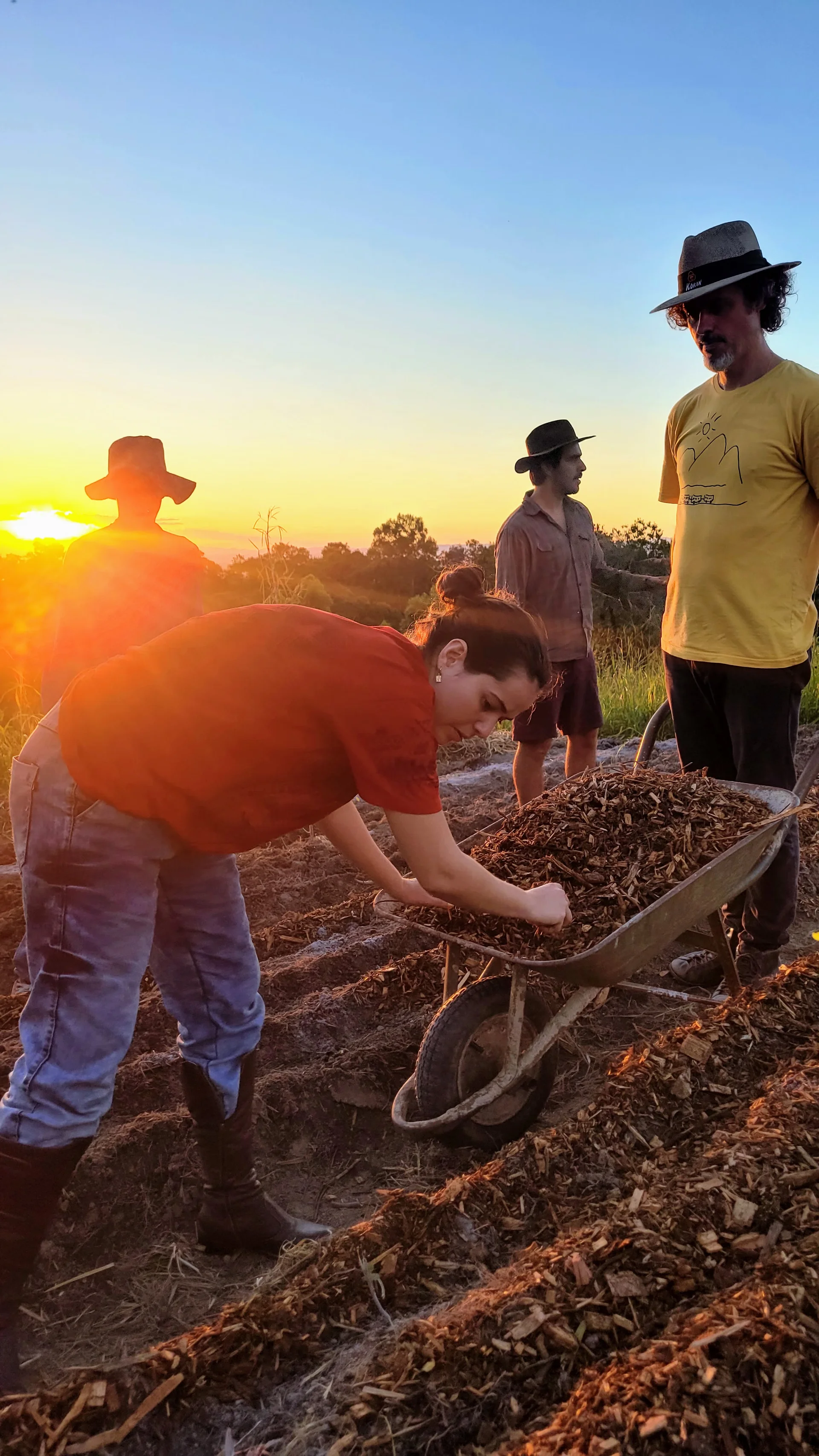Mãos na terra, plantando