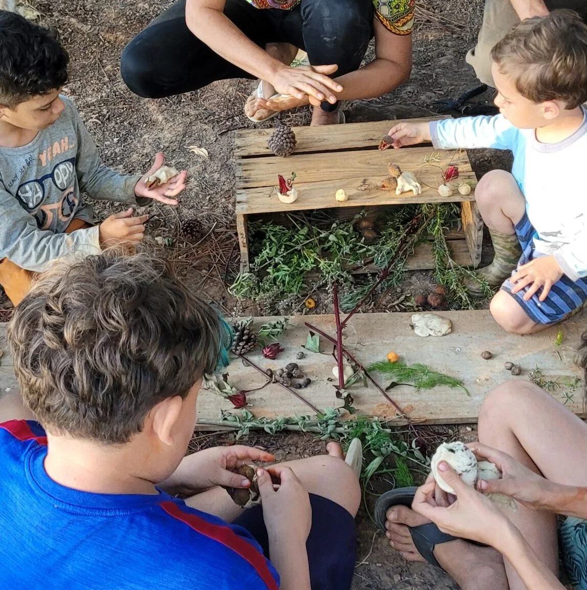 Floresta — imagem de fundo