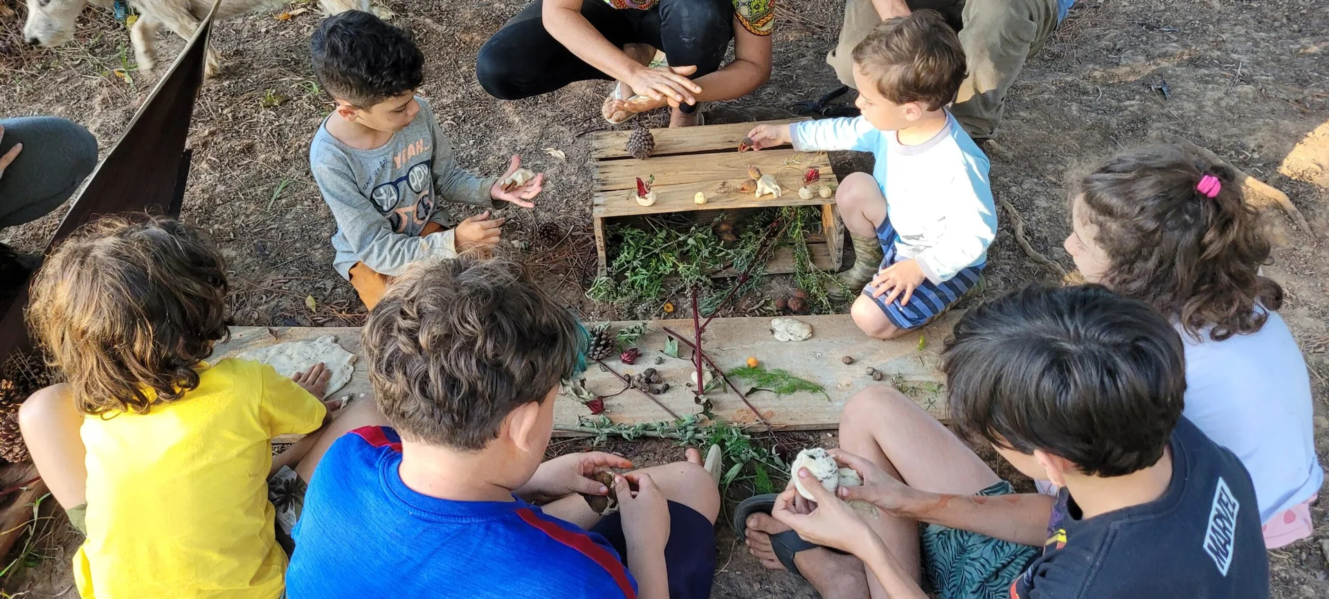 Roda em grupo na natureza
