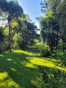 Trabalho na agrofloresta